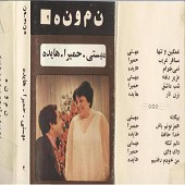 بیگانه مهستی از هایده